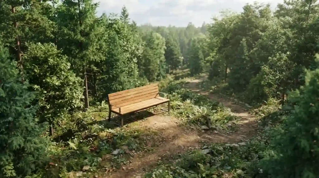 Leere Holzbank neben einem Waldweg zwischen grünen Bäumen